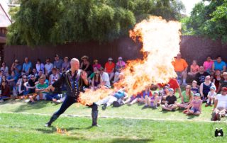 Adam "Crack" Winrich cracks a fire whip at a Renaissance Fair in Wisconsin before a crowd of people.