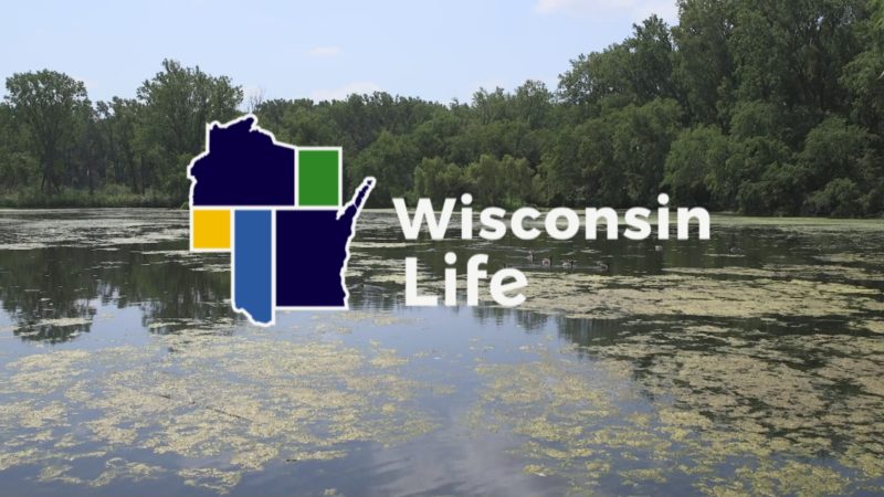 2WLI0501HD001 - Wisconsin Life