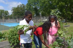 Young Farmers Amir Washington, Coco Battie, and Anija Howard examine the radishes they grew at the Mary Ryan Boys & Girls Club of Greater Milwaukee.