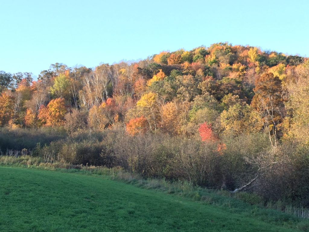 An Ode To Autumn - Wisconsin Life