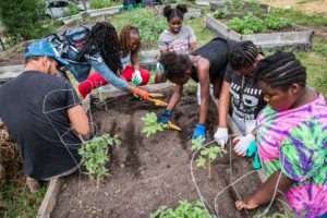Members of the Young Cats (Community Action Team) of Metcalfe Park Community Bridges and GroundWork Milwaukee with supervisor Alex Hagler at their Legacy Garden. (Photo by Shoua Yang)