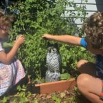 Members of the Hollars family explore their garden as the plastic owl keeps watch. (Photo by Meredith Hollars)