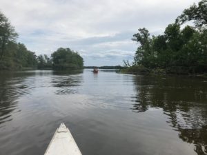 The Wisconsin River backwaters are calm and lush as paddlers move between challenges. (Rob Mentzer/WPR)
