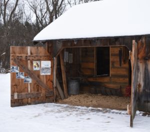 The wooden icehouse at the Historic Point Basse homestead is modeled after a 19th-century shed, and offers no artificial cooling to help preserve the ice. (Rob Mentzer/WPR)