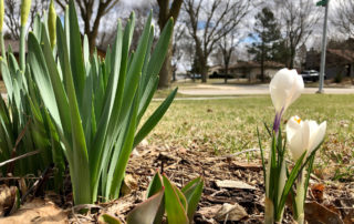 The promise of spring with budding and blooming flowers. (Maureen McCollum/WPR)