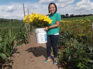 Writer Yia Lor of Eau Claire at her garden. She asks, "Who wouldn't love a bucket of yellow lilies?" (Courtesy of Yia Lor)