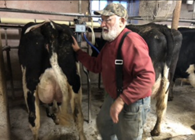 The author's 69-year-old dad, Jim Reisinger, milking cows in the final weeks before the family sold their dairy herd. (Courtesy of Brian Reisinger)