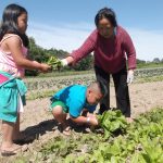 Writer Yia Lor's family work together at their garden. (l-r) Her niece, Kiana Her, nephew, Dontae Her, and mom, Lisa Chue Thao, gather veggies. (Photo by Yia Lor)