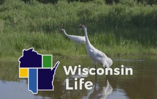 Wisconsin Life # 809: Time To Soar