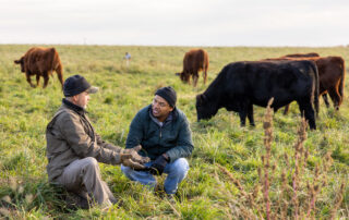 In Sauk County, a conservationist helps farmers transition to managed grazing