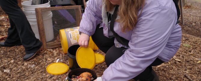 Nina Hartwig collecting compost for UW-Milwaukee's Panther Pails