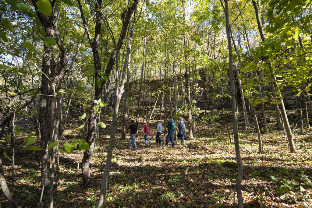 After a yearslong search, Wisconsin’s oldest tree is revealed. Sort of ...