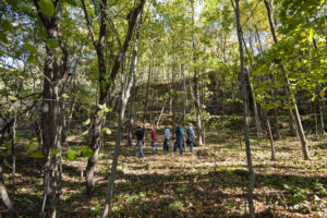 A small group travels through a wooded area in search of the oldest tree in the state Sunday, Oct. 17, 2021, in Greenleaf, Wis.