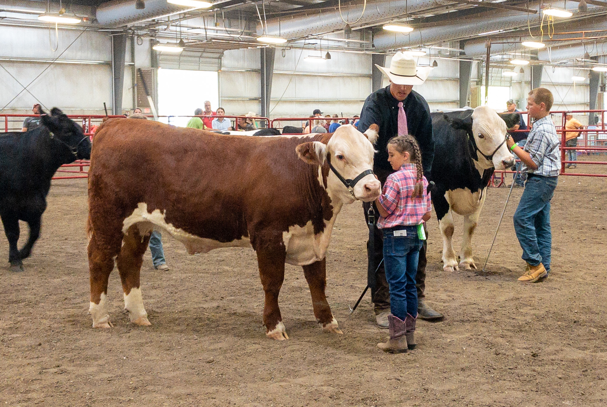 Layla Mayr, 9, from DeForest, Wisconsin shows her cow that she nicknamed “Steamy.” (Photo by Christina Lieffring)