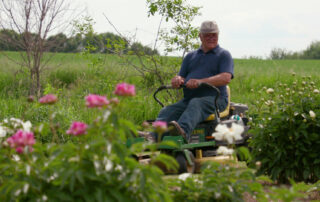 A passion for peonies transforms Wisconsin dairy farm