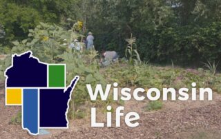 Wisconsin Life # 906: Native Wellness Garden