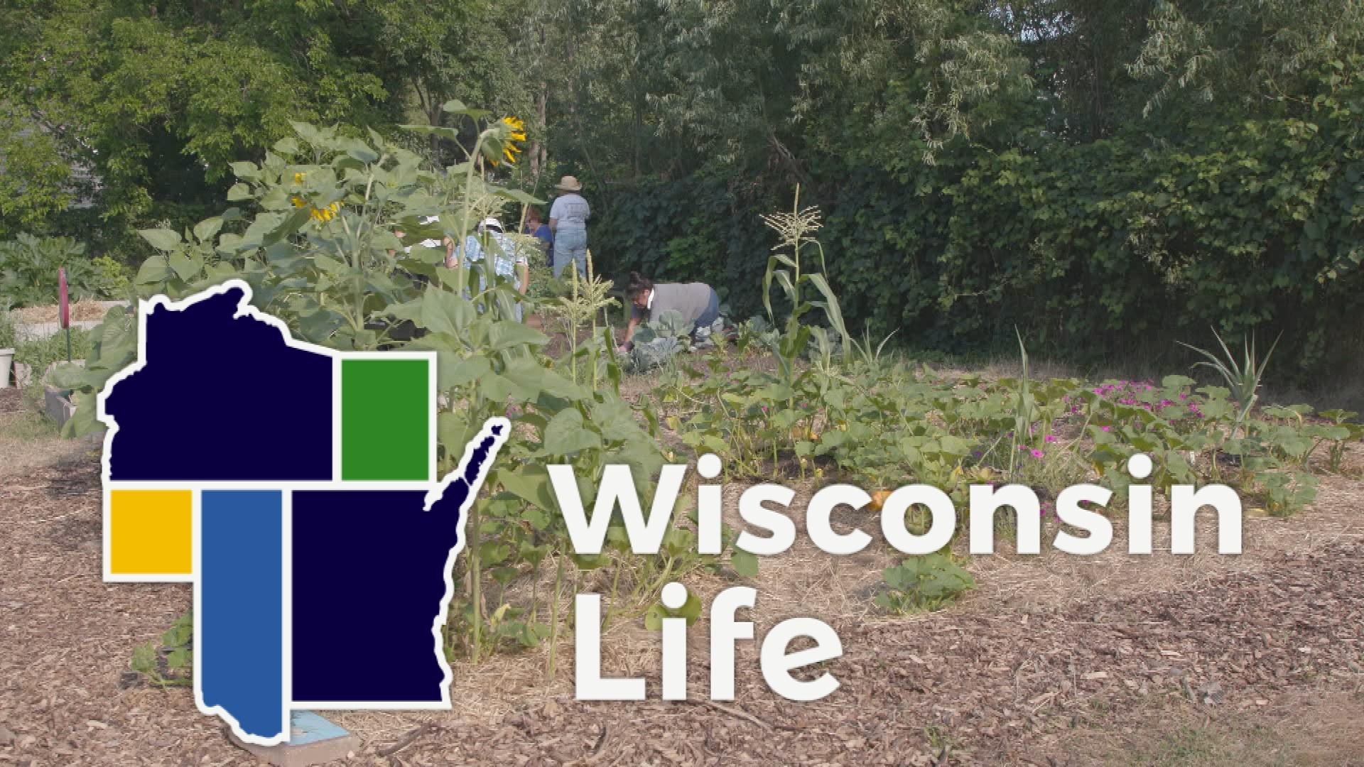 Wisconsin Life # 906: Native Wellness Garden