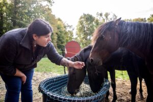 Em Loerzel greets a Ojibwe pony as they eat Monday, Oct. 3, 2022, in Spring Valley, Wis. (Angela Major/WPR)