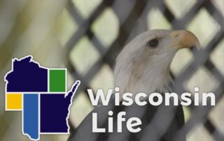 Wisconsin Life # 909: Pine View Wildlife Rehabilitation & Education Center