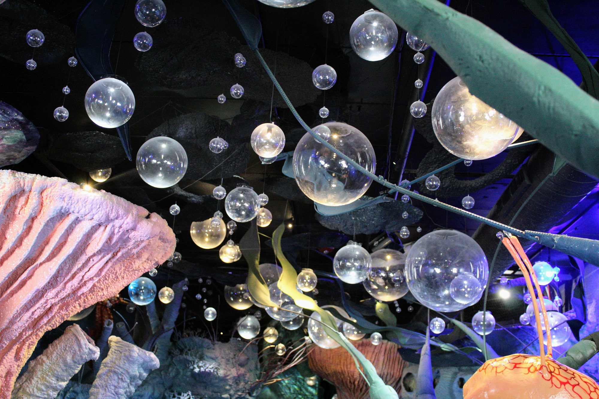 In Wizard Quest’s water realm, there are coral reefs that reach the ceilings and floating orbs that mimic bubbles. There are also koi mermaids, oversized lily pads and reflective epoxy floors. (Trina La Susa/WPR)