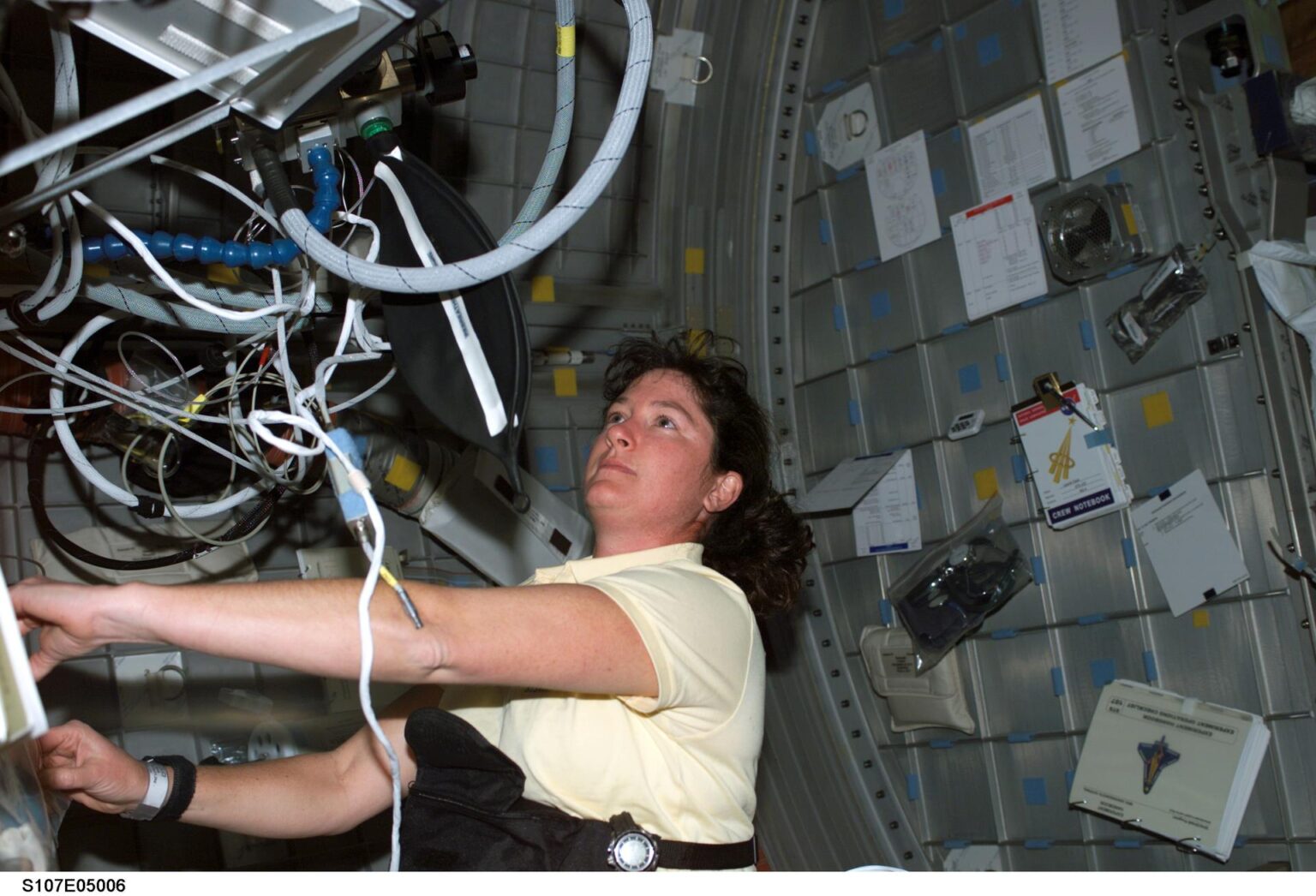 Remembering Wisconsin Astronaut Laurel Clark’s Interstellar Dreams ...