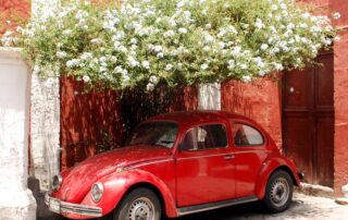 Volkswagon Beetle in the shade. This car is similar to writer Nancy Jorgensen's beloved red VW.