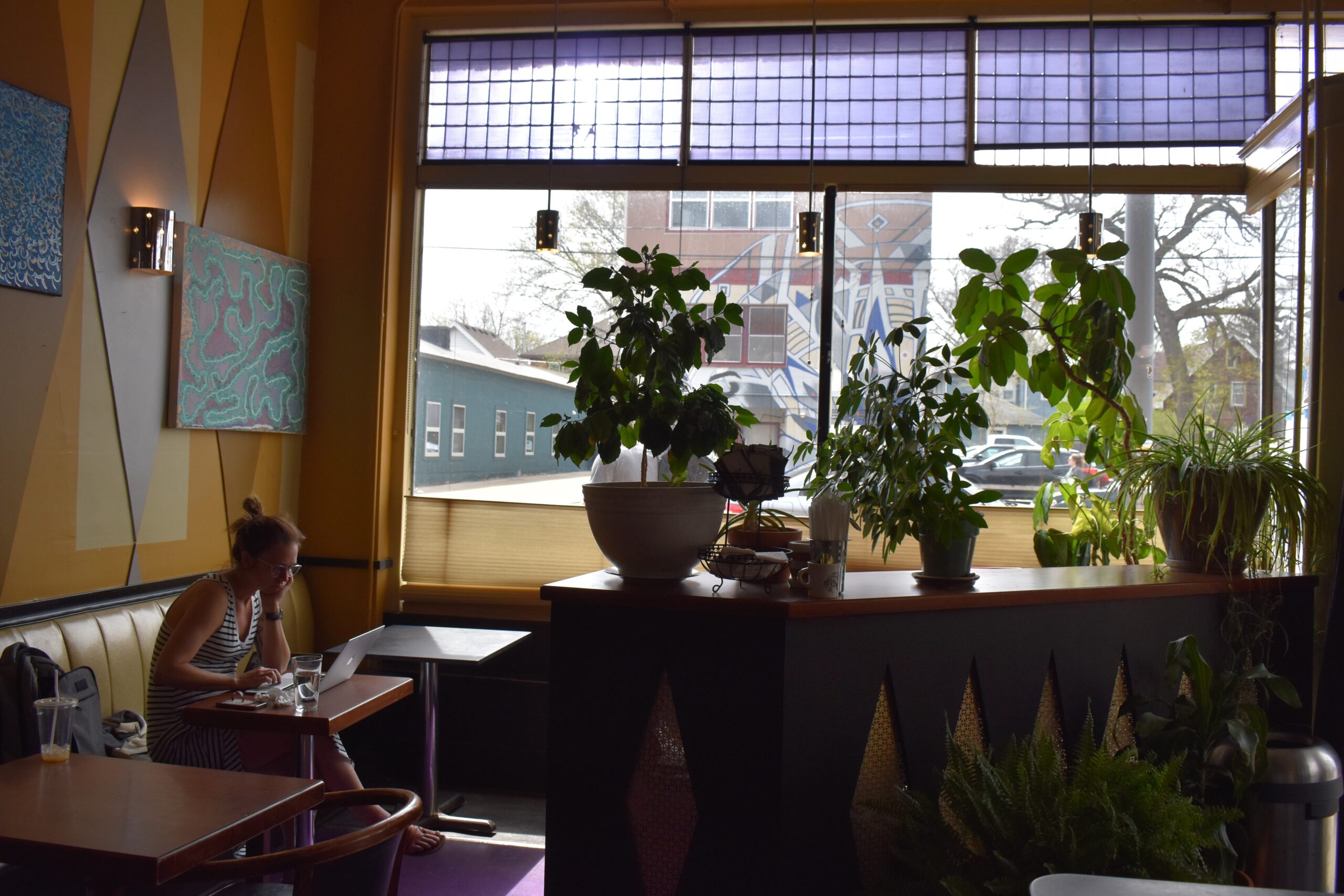 Plants sit on a counter in front of a wall of windows at The Victory in Madison, Wisconsin. A woman to the left works on her laptop at one of the tables on April 28, 2023. (Alyssa Allemand/WPR)