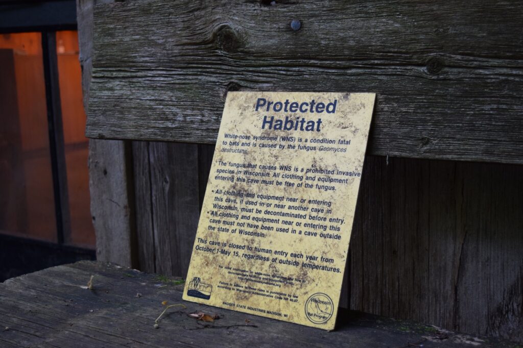 A sign warns visitors about white nose syndrome, a fungal disease that has killed hibernating bat populations in Wisconsin and across the country. (Hope Kirwan/WPR)