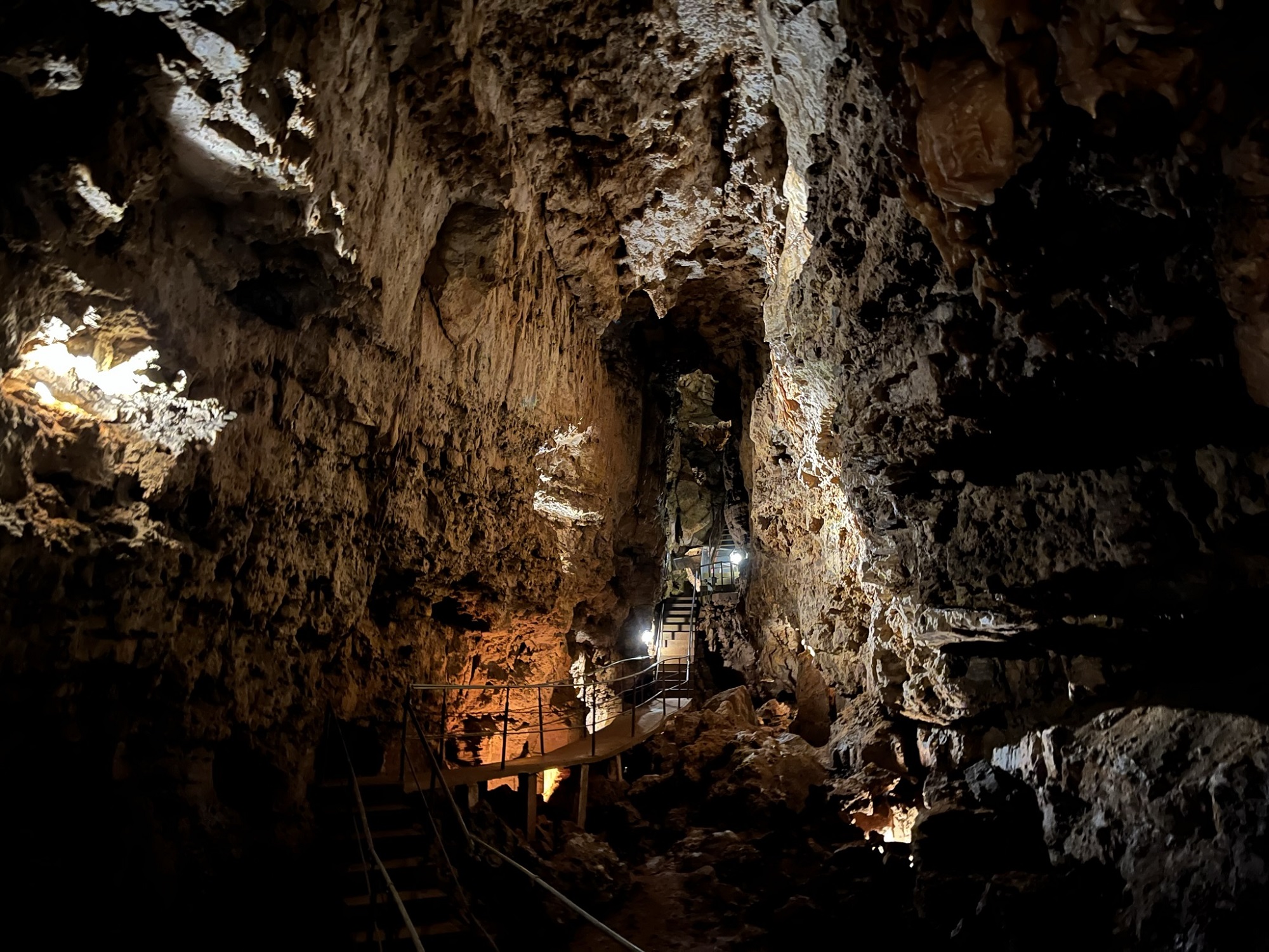 The Cathedral Room of Kickapoo Caverns attracted tourists for decades, with couples even having wedding ceremonies in the cave. The cave system is now protected by Mississippi Valley Conservancy as a habitat for hibernating bats. (Hope Kirwan/WPR)