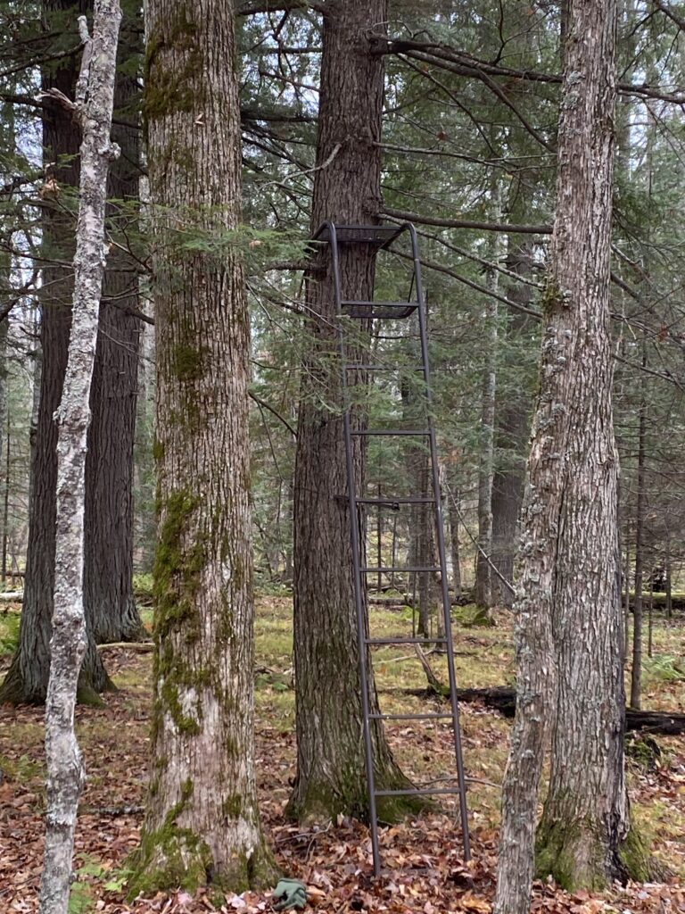 Ron Weber's deer stand in Bayfield County. (Photo by Ron Weber)