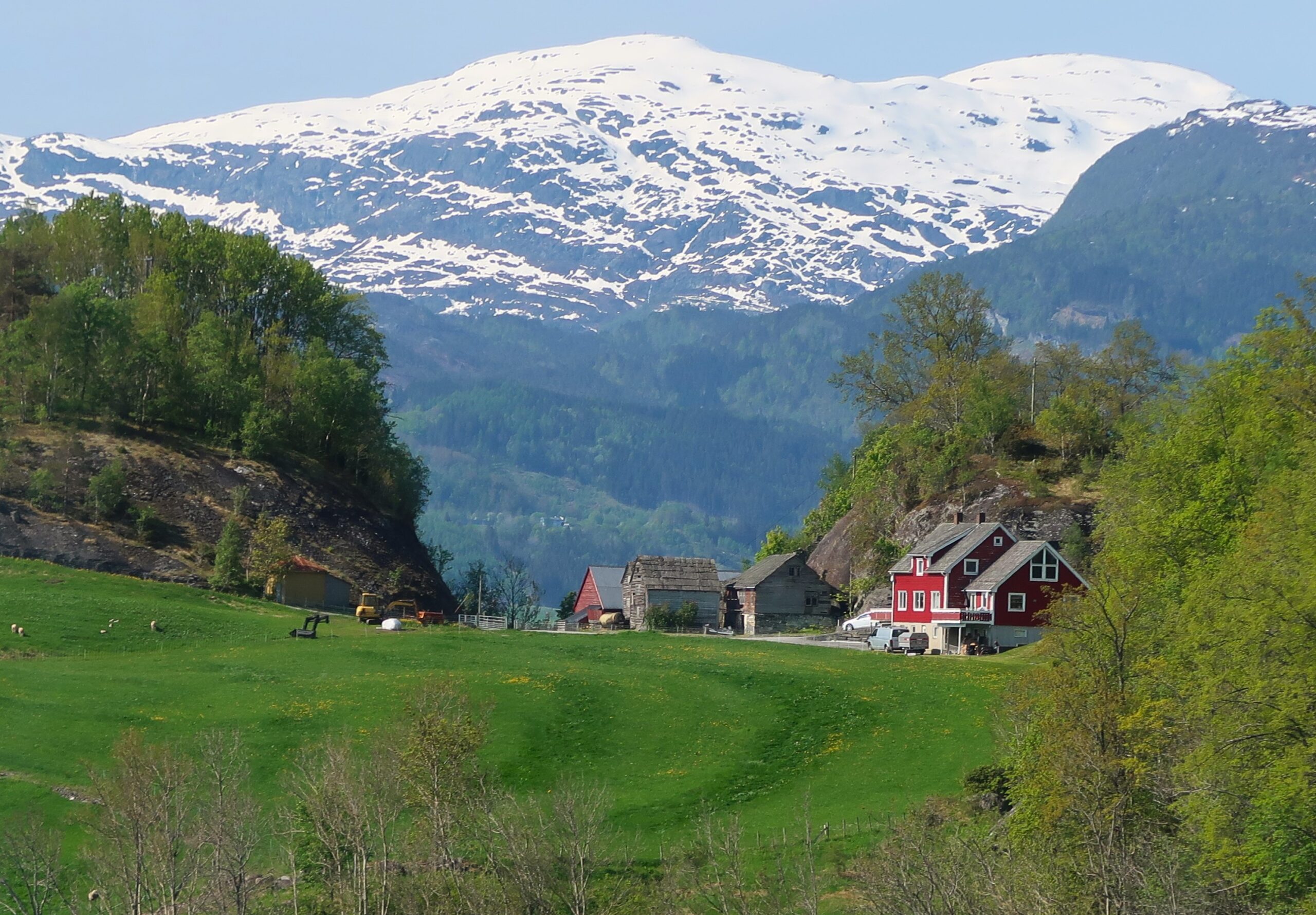 Nature on Hardangerfjord, a region in Norway. (Photo by Eric Dregni)