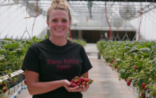 From backyard garden to high-tech strawberry farm