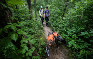 Natural Bridge State Park is a good hike for humans, dogs alike in Wisconsin
